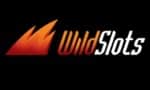 Wild Slots Sister Sites logo