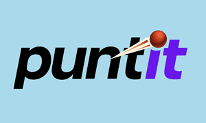 Puntit logo