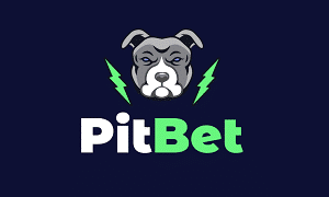 PitBet logo, a Vipzino sister site