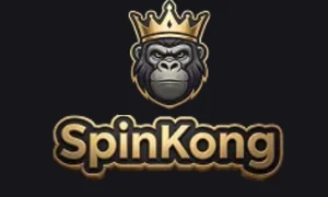 Spinkong logo